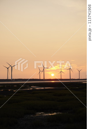 【台湾】高美湿地の夕日と風車の景色 113741908
