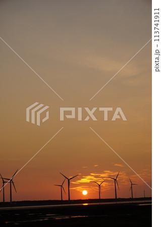 【台湾】高美湿地の夕日と風車の景色 113741911