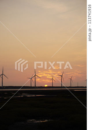 【台湾】高美湿地の夕日と風車の景色 【台湾】高美湿地の夕日と風車の景色 113741916