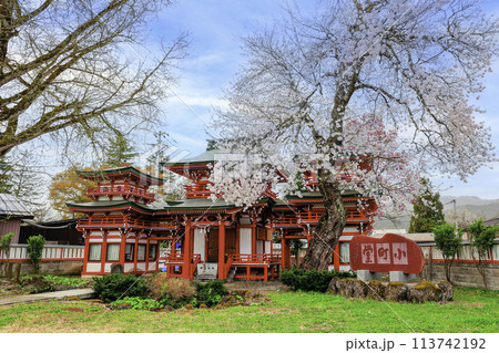桜咲く小町堂 桜咲く小町堂 113742192