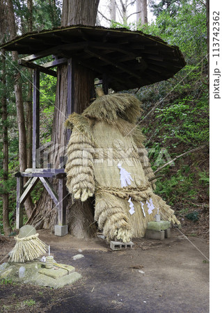 野外の鹿島様（縦） 113742362