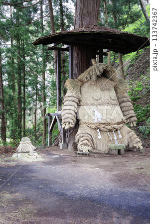 森の鹿島様（縦） 113742367