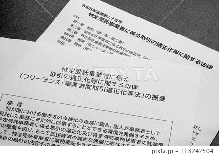 フリーランス保護新法の概要 フリーランス保護新法の概要 113742504