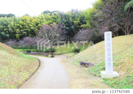 酒船石遺跡 酒船石遺跡 113742580