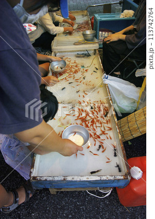 縁日の金魚すくいに夢中になる子供達。お祭りの日は神社の境内は大人も子供も食べ歩いたりで大賑わい 縁日の金魚すくいに夢中になる子供達。お祭りの日は神社の境内は大人も子供も食べ歩いたりで大賑わい 113742764