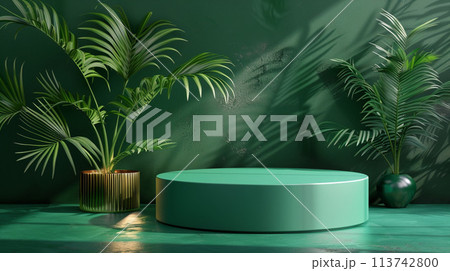 3d render of green minimal scene with podium and palm leaves. 113742800