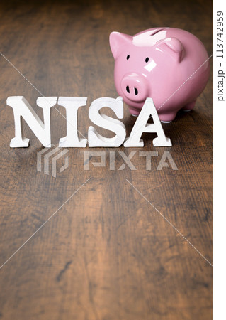 NISAの文字とブタの貯金箱 113742959
