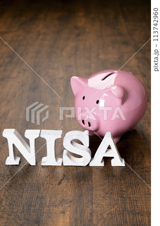 NISAの文字とブタの貯金箱 NISAの文字とブタの貯金箱 113742960
