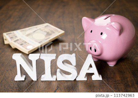 NISAの文字とブタの貯金箱 113742963