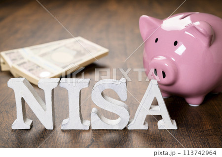 NISAの文字とブタの貯金箱 113742964