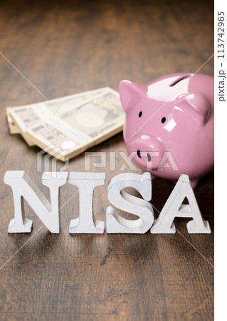 NISAの文字とブタの貯金箱 113742965