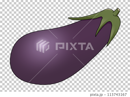 Simple eggplant illustration 113743167
