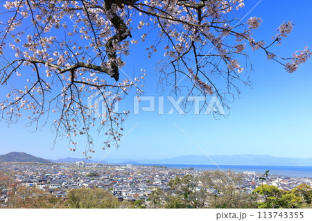 【滋賀県】彦根城天守閣から見た彦根の町並みと満開の桜 113743355