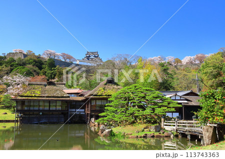 【滋賀県】桜が満開の彦根城天守閣と玄宮園 113743363