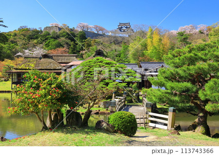 【滋賀県】桜が満開の彦根城天守閣と玄宮園 113743366