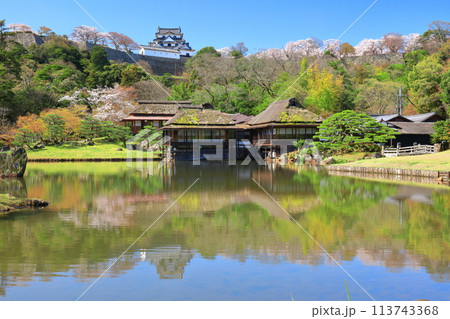 【滋賀県】桜が満開の彦根城天守閣と玄宮園 113743368