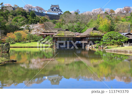 【滋賀県】桜が満開の彦根城天守閣と玄宮園 【滋賀県】桜が満開の彦根城天守閣と玄宮園 113743370