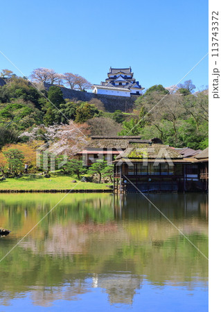 【滋賀県】桜が満開の彦根城天守閣と玄宮園 113743372