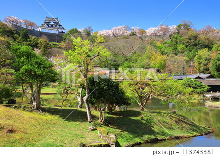 【滋賀県】桜が満開の彦根城天守閣と玄宮園 113743381
