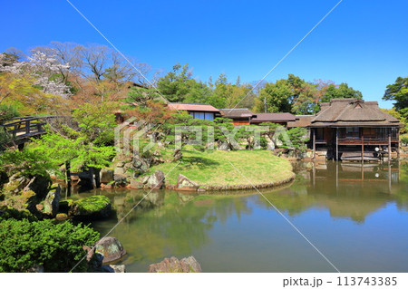 【滋賀県】桜が満開の玄宮園八景亭 113743385