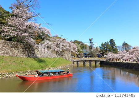 【滋賀県】快晴の彦根城内堀の屋形船と満開の桜 【滋賀県】快晴の彦根城内堀の屋形船と満開の桜 113743408