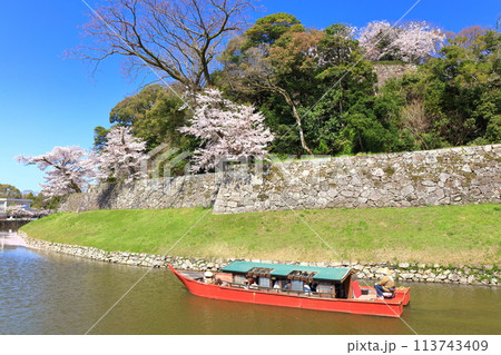 【滋賀県】快晴の彦根城内堀の屋形船と満開の桜 【滋賀県】快晴の彦根城内堀の屋形船と満開の桜 113743409