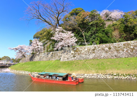 【滋賀県】快晴の彦根城内堀の屋形船と満開の桜 【滋賀県】快晴の彦根城内堀の屋形船と満開の桜 113743411