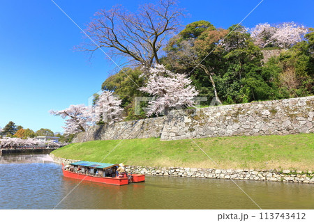 【滋賀県】快晴の彦根城内堀の屋形船と満開の桜 【滋賀県】快晴の彦根城内堀の屋形船と満開の桜 113743412