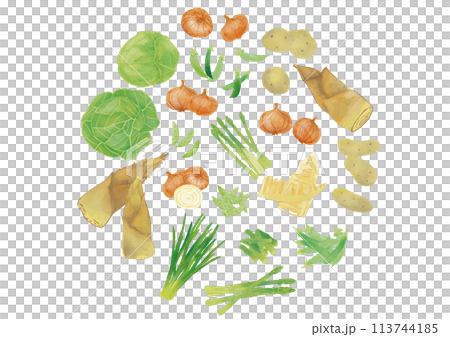 Watercolor spring vegetable set 2 113744185