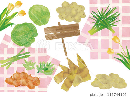 水彩風　春野菜と黄色いチューリップセット 113744193