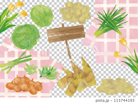 水彩風　春野菜と黄色いチューリップセット 113744193