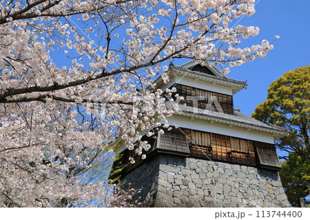 満開の桜の花に彩られた熊本城未申櫓の佇まい 113744400