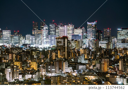 【東京都】夜の新宿副都心 【東京都】夜の新宿副都心 113744562