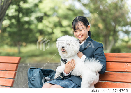 公園のベンチに犬と一緒に座る笑顔の制服・ブレザー姿の中学生・高校生の女の子（ペット・散歩） 113744706