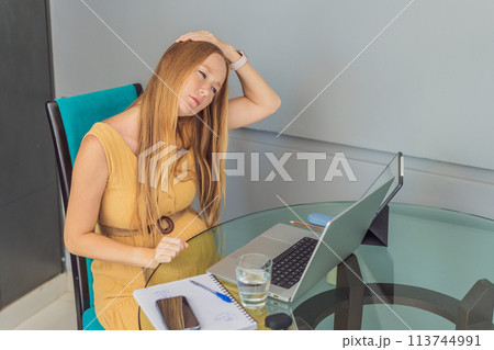 Beautiful pregnant woman working on laptop. Young businesswoman working in her office 113744991