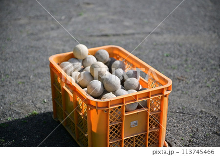 野球のバッティング練習 113745466