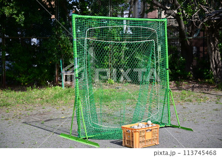 野球のバッティング練習 113745468