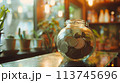 将来のためにお金を節約する、お金と植物が成長する AI生成画像 113745696