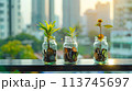 将来のためにお金を節約する、お金と植物が成長する AI生成画像 113745697