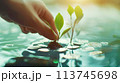 将来のためにお金を節約する、お金と植物が成長する AI生成画像 113745698