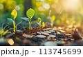 将来のためにお金を節約する、お金と植物が成長する AI生成画像 113745699