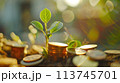 将来のためにお金を節約する、お金と植物が成長する AI生成画像 113745701