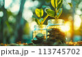 将来のためにお金を節約する、お金と植物が成長する AI生成画像 113745702