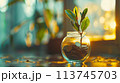 将来のためにお金を節約する、お金と植物が成長する AI生成画像 113745703