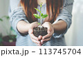 将来のためにお金を節約する、お金と植物が成長する AI生成画像 113745704