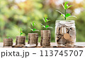 将来のためにお金を節約する、お金と植物が成長する AI生成画像 113745707