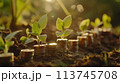 将来のためにお金を節約する、お金と植物が成長する AI生成画像 113745708