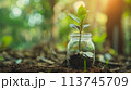 将来のためにお金を節約する、お金と植物が成長する AI生成画像 113745709