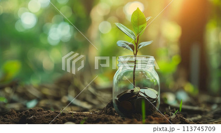 将来のためにお金を節約する、お金と植物が成長する AI生成画像 113745709