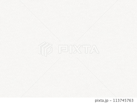 細かな凹凸の入った白塗りの壁のテクスチャ　シームレスなパターン 113745763